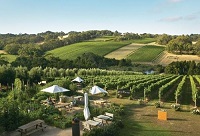 �A͢�ƽю���ȥ����˚�İ��޾��f���ϣ�