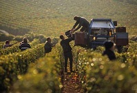 ������f֮����ҹ��