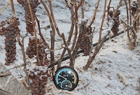 ���Ƶı�����̫�̣�����ԓ��ô�ȣ�