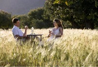 �����ѵ��������xһƿ�����Ѿư���