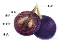 ���ѾƆΌ������ϵĂ��f