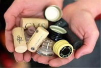 �ИI֪�R�N��׌���˽������һ��