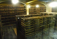 ��ѵĽ�����ն�����Pϵ