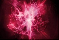 ���ѾƵľ��w��ʲô��