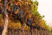 ᄾ�����֮����ϼ��