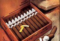 ������΃���ѩ��