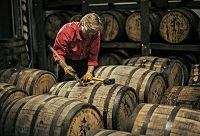 ��ľͰ�����P�Ͱ���������޵ą^�e