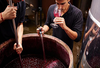 ���ѳ����ڣ�������ѾƵ�Σ��!!!