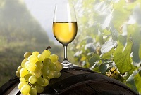 ���Ѿ��_ƿ�󵽵��ܷŶ�ã�